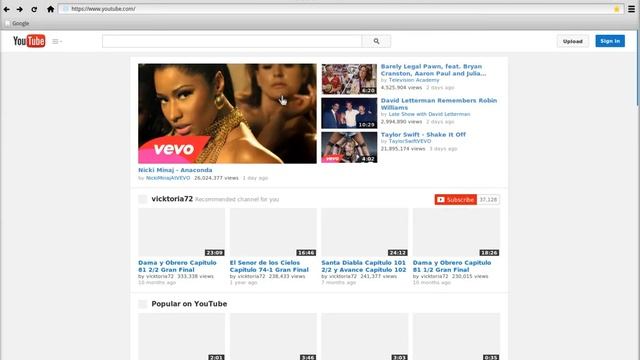 Python - Web Browser - Alpha 2 смотреть онлайн