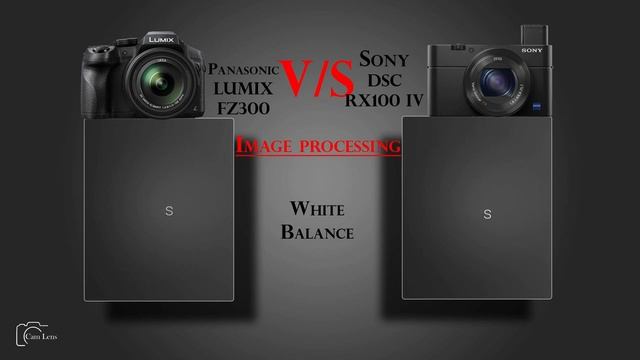 Panasonic LUMIX FZ300 vs Sony DSC RX100 IV смотреть онлайн