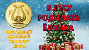 В лесу родилась ёлочка