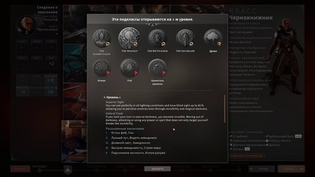 Solasta. Мод (UB) Unfinished Business. Чернокнижник (Warlock)