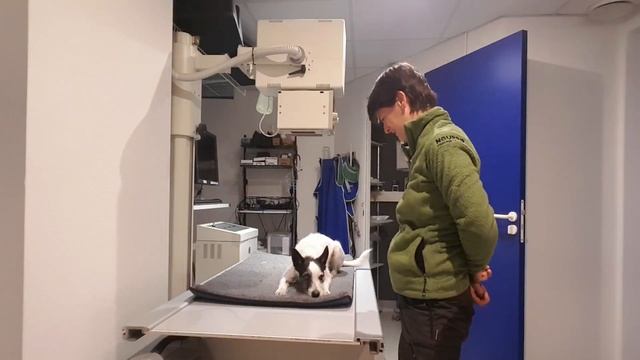 Entraînement medical training en vue d'une radio : de A à Z смотреть онлайн