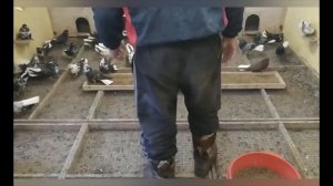 В гостях  у  Петрожицского И.В. +79513266246.