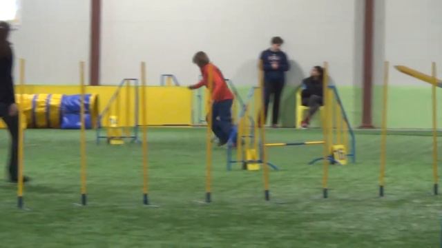 А3 Володина Надежда и пудель Ляля смотреть онлайн