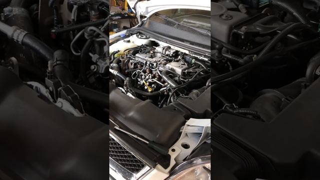 Свечи накала Форд фокус TDCi смотреть онлайн