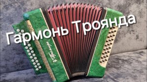 Гармонь Троянда (Роза)