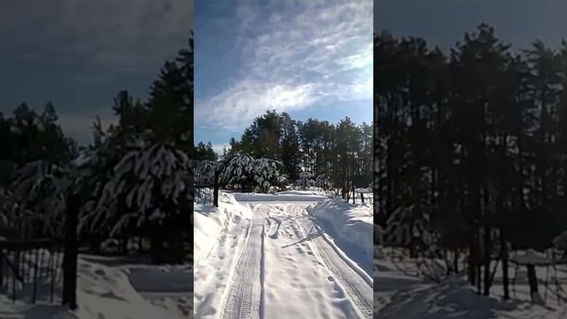 Травянка 1 смотреть онлайн