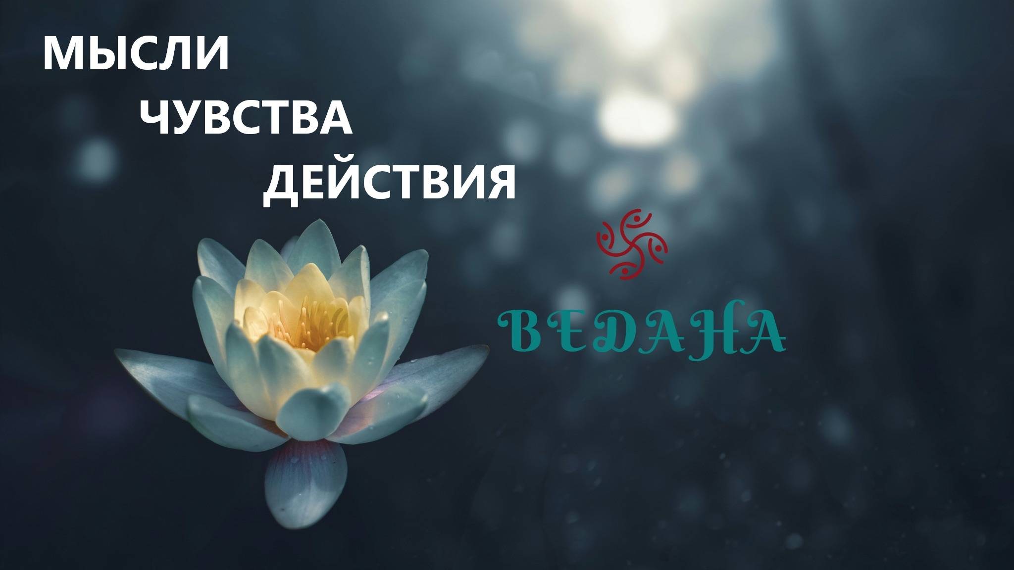 Ведана