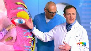 Жить здорово! Выпуск от 17.05.2017