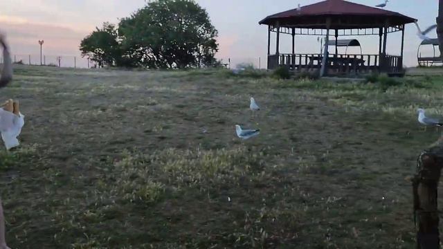 Часть 2 /МУЖ ПОЗДРАВИЛ❤️/СЕСТРА УДИВИЛА 😍/ ОСТРОВ / ШАШЛЫКИ / ЦВЕТЫ /МОЙ ДЕНЬ ☀️🥳 смотреть онлайн