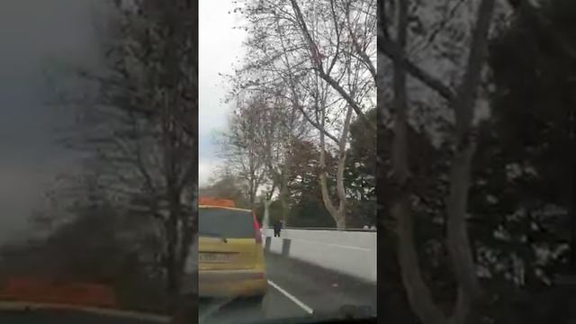 ленин в пальмах смотреть онлайн