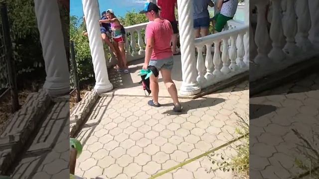 Бетта Геленджик обзор сверху смотреть онлайн