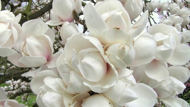 Спокойствие, только спокойствие! Защита вашего энергетического пространства.