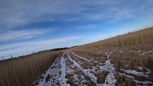 Охота #136 опасная в камышах, выбежал кабан смотреть онлайн