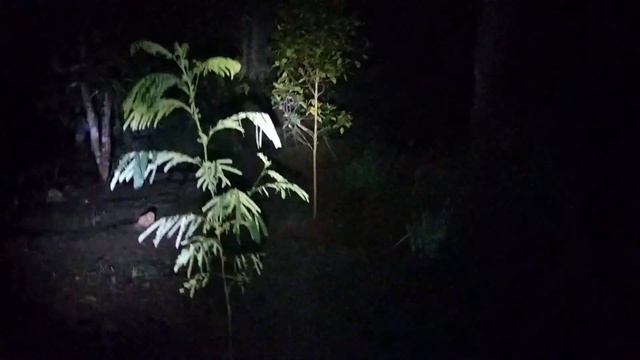 🔴LIVE PENAMPAKAN DI GEDUNG ANGKER DI ATAS BUKIT смотреть онлайн