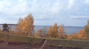 У берёз  и  сосен  Юрий  Антонов