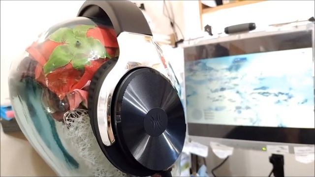 OneOdio Studio Hifi *Volume Test* - Gadget Explained Extended Unboxing смотреть онлайн