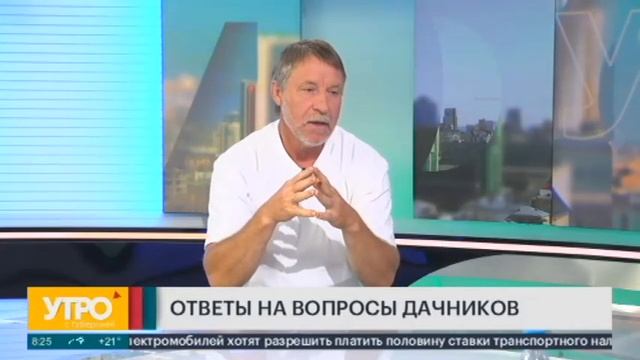 Как ухаживать за огурцами, грушей и яблоней? Утро с Губернией 09/07/2021 GuberniaTB смотреть онлайн