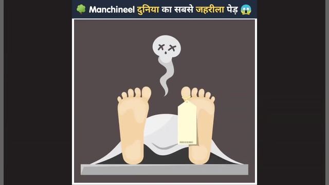 Manchineel ? दुनिया का सबसे ? जहरीला पेड़ - By Bhawani Pratap Rathore #shorts #facts смотреть онлайн