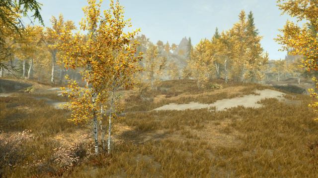 Skyrim Mod SE: IA92's Special Console Graphics (PS4/XBOX1) смотреть онлайн
