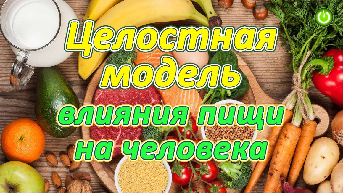Целостная модель влияния пищи на человека, Евгений Агафонов (опыт проекта 
