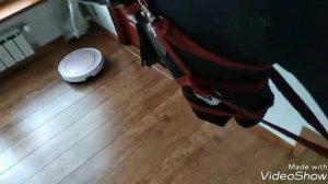 Подготовка к тренировке { Хобби хорсинг  Россия}