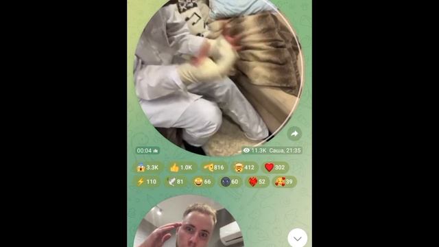 Папа Гриб выпил Антигриббин? смотреть онлайн