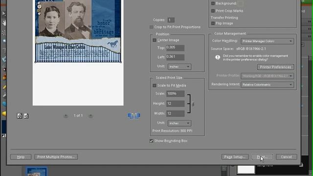 Beginning Digital Scrapbooking in PSE - Printing смотреть онлайн