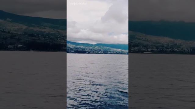 El Pastor Solitario 🐑 - Pan Flute смотреть онлайн
