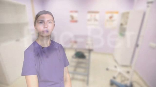 Диарея У Собак & Симптомы Диареии У Собак. Ветклиника Био-Вет смотреть онлайн