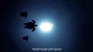 Аффирмации на спокойствие и исцеление нервной системы Избавление от тревоги и негатива!