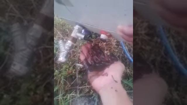 Бойлер засореный. смотреть онлайн