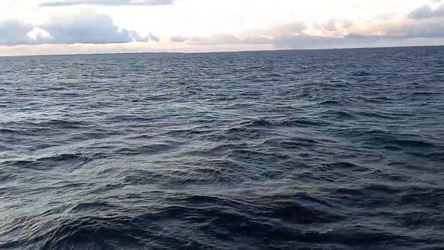 Рассвет на Балтийском море. Волны смотреть онлайн