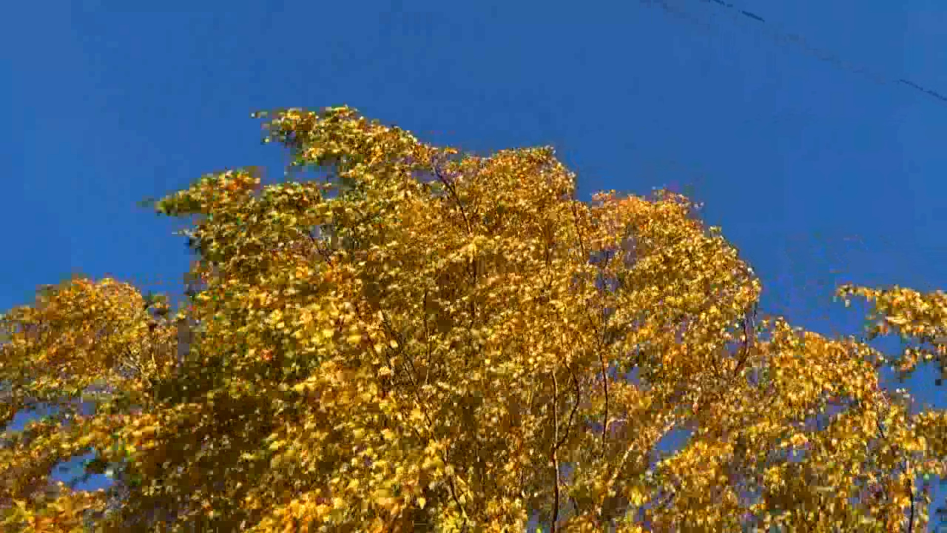 Золотая осень в городе Вязники смотреть онлайн