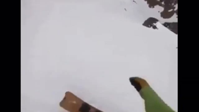 ой ой ой собака ты куда персик персик может обратно смотреть онлайн