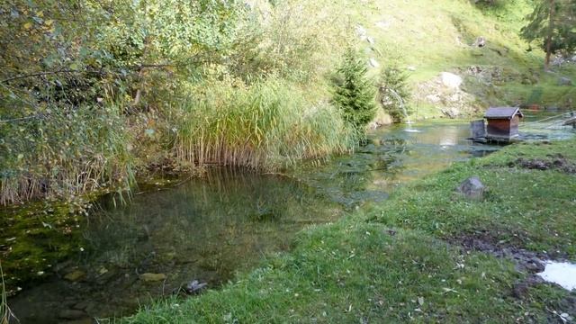 Zillertal Enzianhof Am Gerlosberg Oberhalb Zell Am Ziller