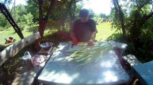 Ревень заготовка на зиму