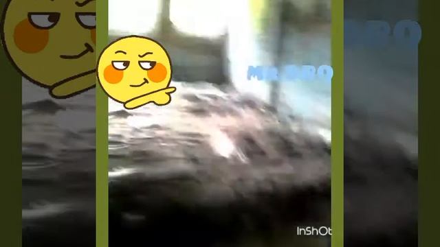 Заброшенная прачка . Часть 1 смотреть онлайн