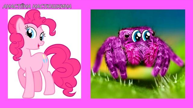 Amazing ! My Little Pony Spiders смотреть онлайн