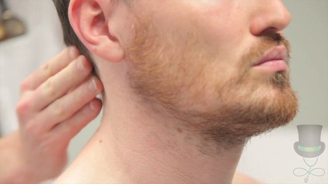 Examination of the lymph nodes of the head and neck смотреть онлайн
