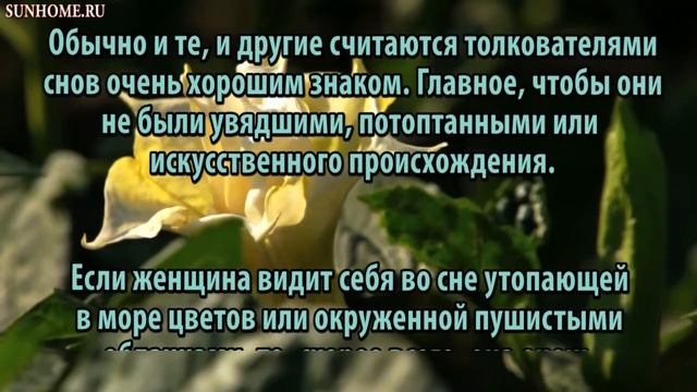 К чему снится Цветы и травы сонник, толкование сна смотреть онлайн