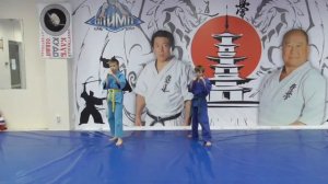 8 КЮ КУДО ОЛИМП (для аттестации)