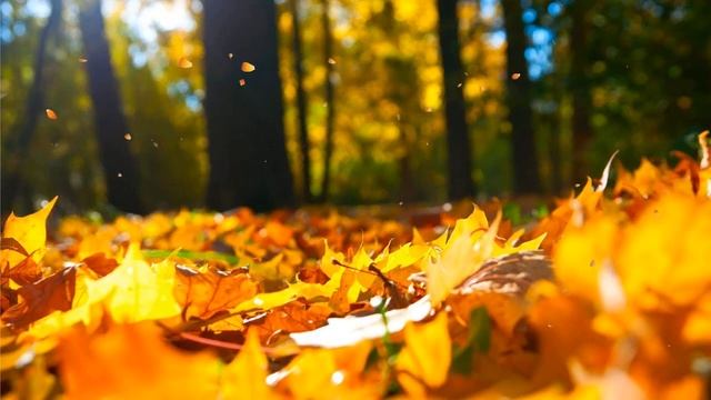 Колыбельная для фортепиано - Для детей и семьи - Сон ...