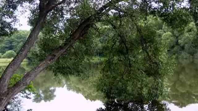 ПЕСНИ УКРАИНЫ В СЕГОДНЯШНЕЙ ОБРАБОТКЕ смотреть онлайн