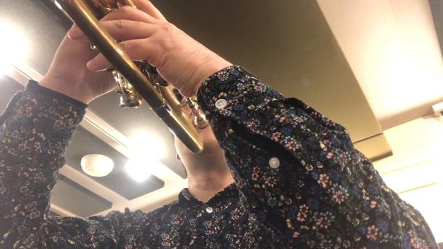 He Loves You〜Flugelhorn Solo(Copy) смотреть онлайн