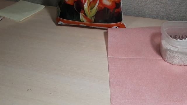 Глоксиния из семян. Посев глоксинии смотреть онлайн