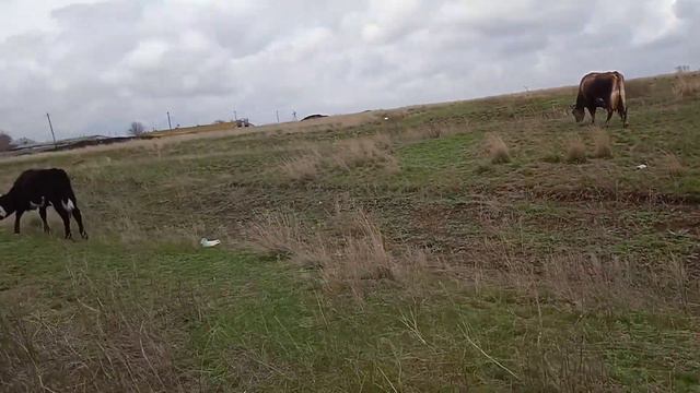 Бег с препятствиями смотреть онлайн