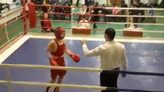 Boxing Арек с.к VS федерации бокса смотреть онлайн