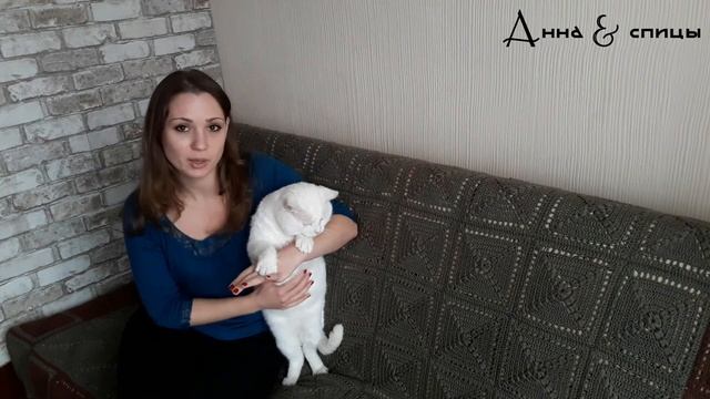 Анна и спицы | О Животных | Домашних и недомашних смотреть онлайн