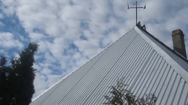 Голуби, бентамки и мысли о жизни... смотреть онлайн